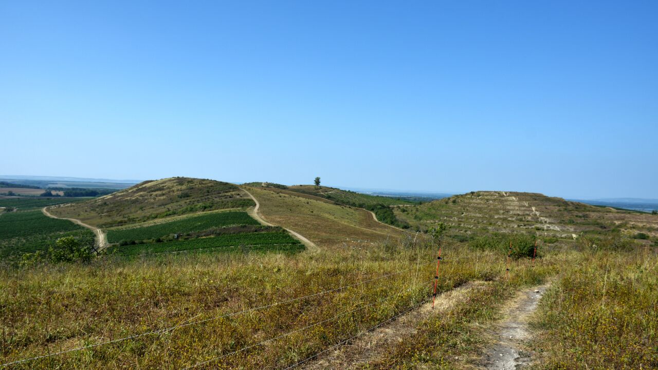 Pálavská podkova ve třech dnech