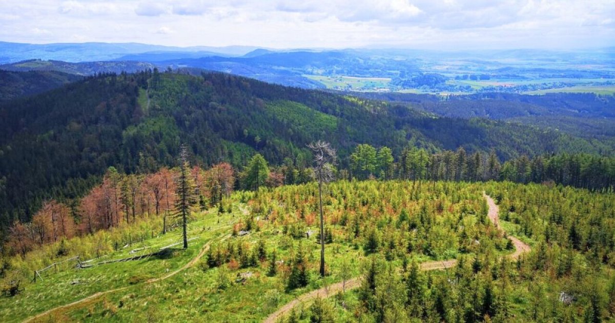 Höhenweg - Broumovsko