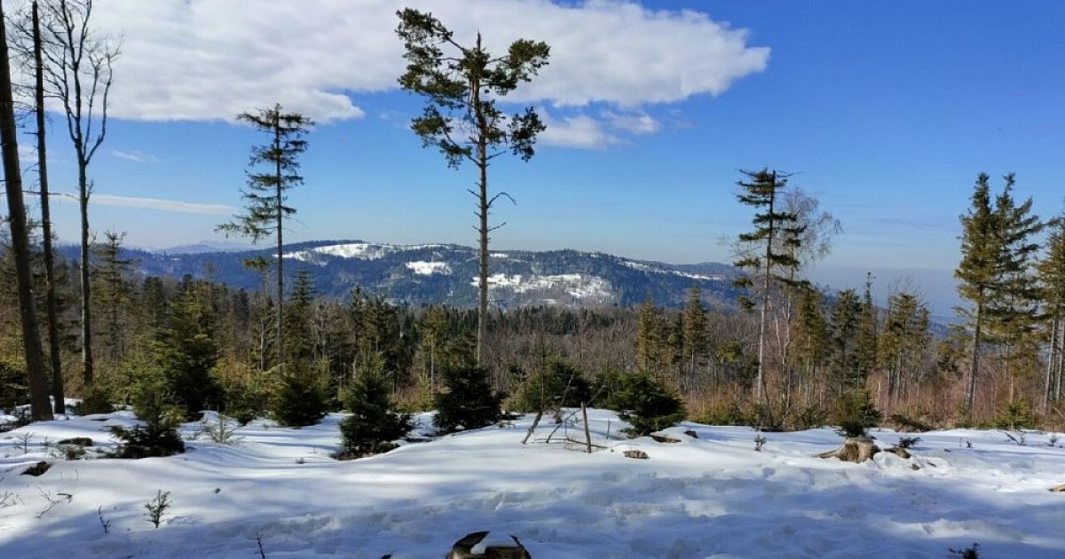 Höhenweg - Beskid Maly (PL)
