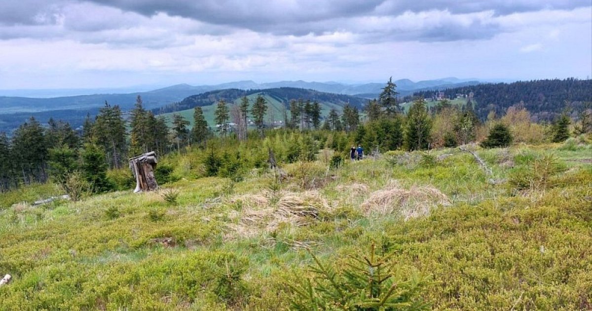 Höhenweg - Sowie-Gebirge - Bardzkie-Gebirge (PL)