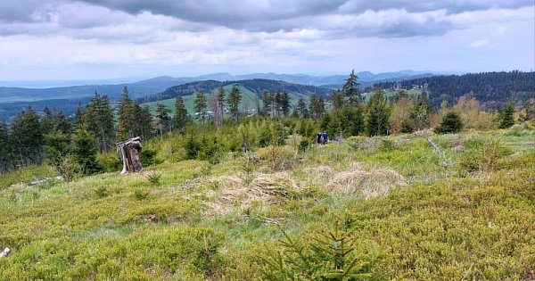 Höhenweg - Sowie-Gebirge - Bardzkie-Gebirge (PL)
