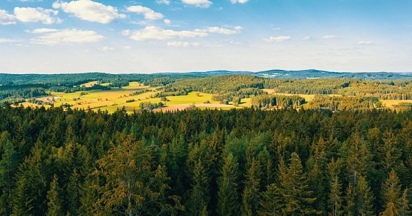 Vergessene Hügel 2025
