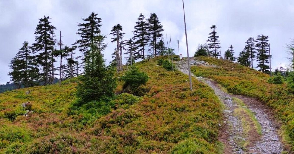 Rychleby Bergsteiger