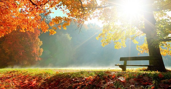 Herbst-Orientierungslauf