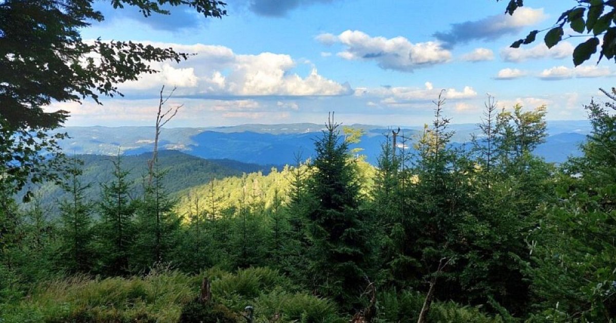 Beskid Sądecki Bergsteiger