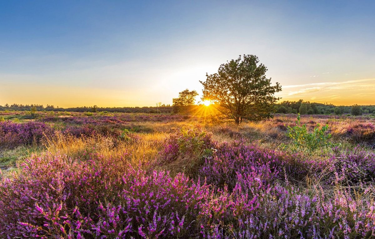 Niederlande