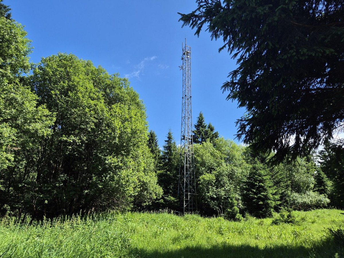 Medvědí vrch (1017&nbsp;m)