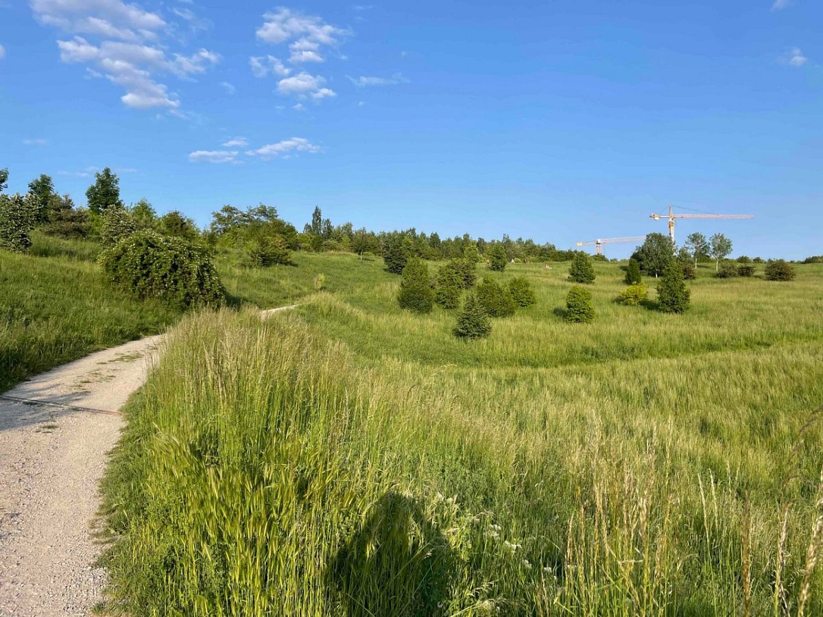 Planýrka (254&nbsp;m)