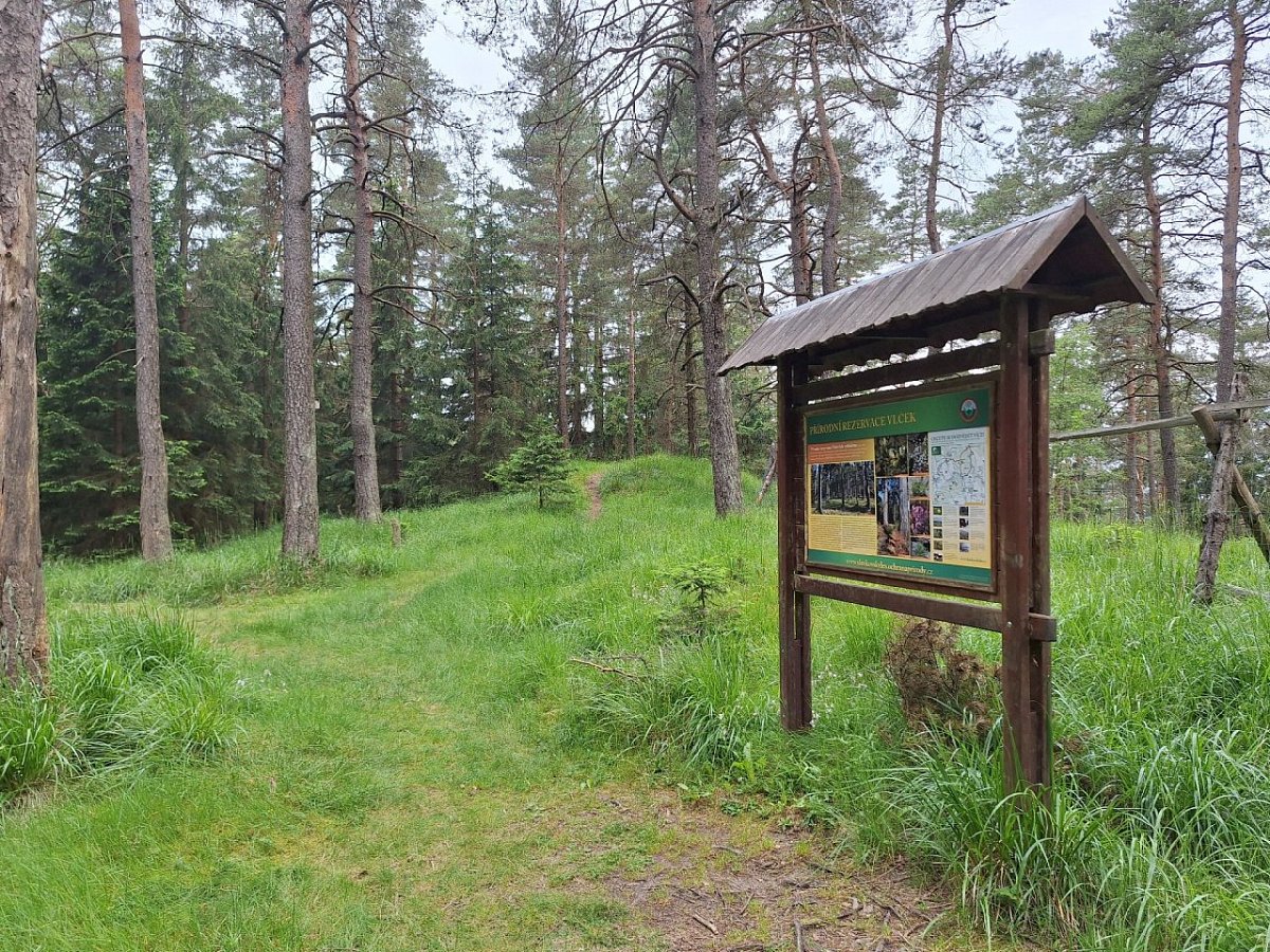 Vlčí kámen (883&nbsp;m)