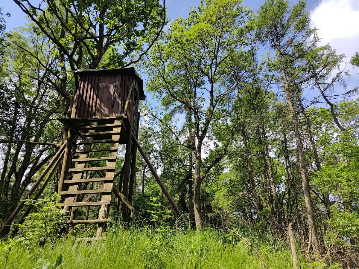 Dlouhý vrch (658&nbsp;m)