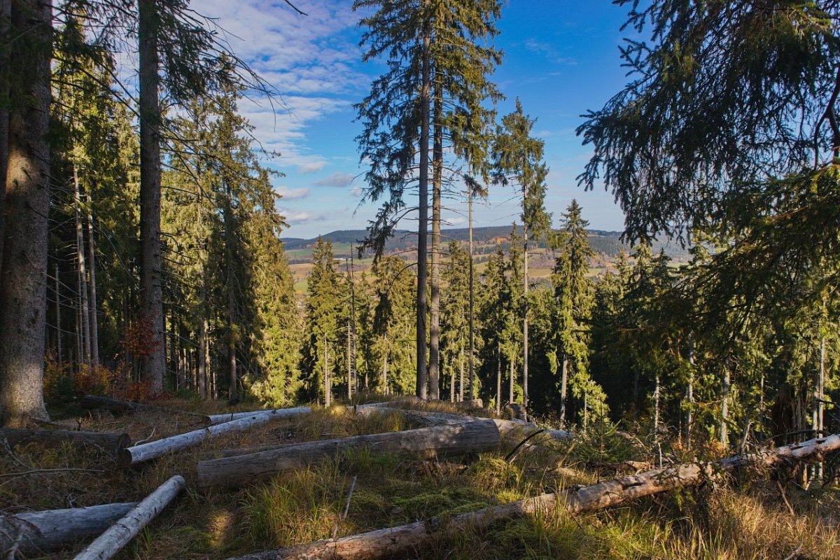 Homole (1044&nbsp;m)