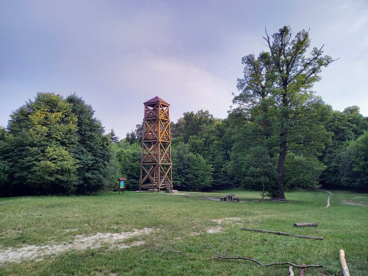 Mestská hora (Széchenyiho chlm) (374&nbsp;m)
