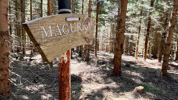 Magurka