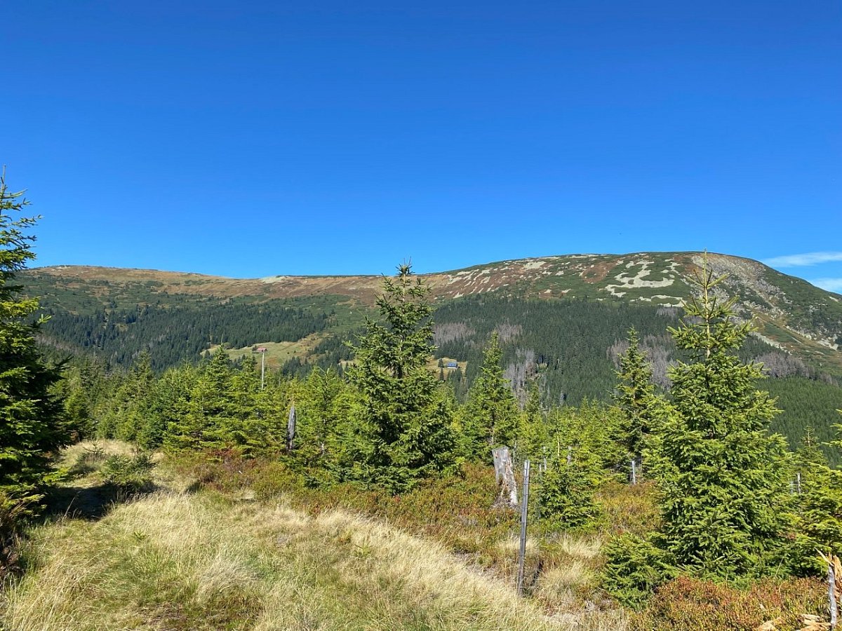 Lesní hora (1129&nbsp;m)