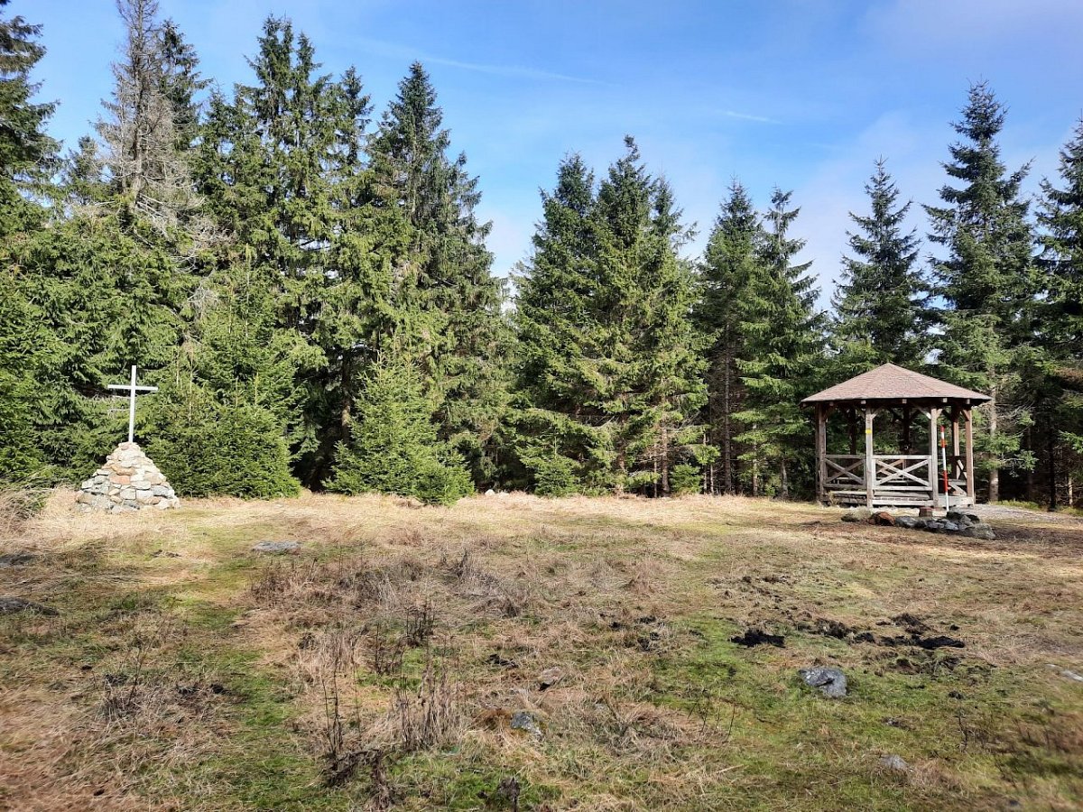 Lesný (983&nbsp;m)
