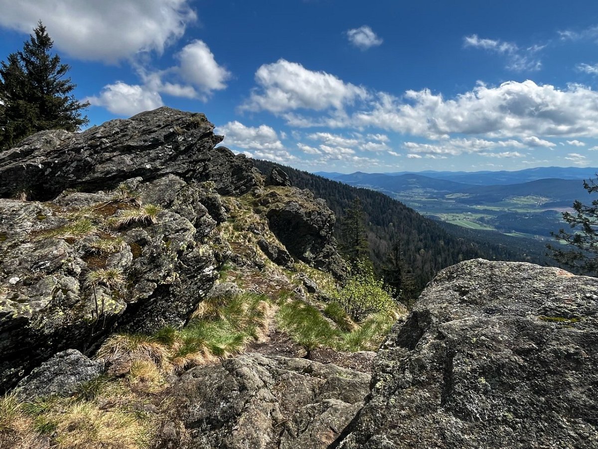 Kaitersberg (1044&nbsp;m)