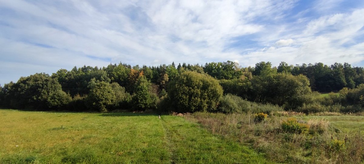 Otínský vrch (535&nbsp;m)