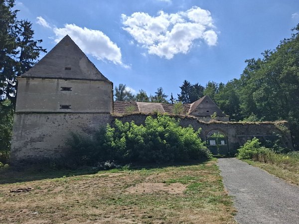 Buzický hrad