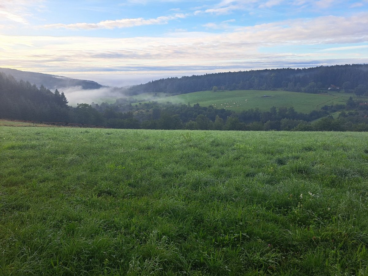 Tříselná kýla (453&nbsp;m)