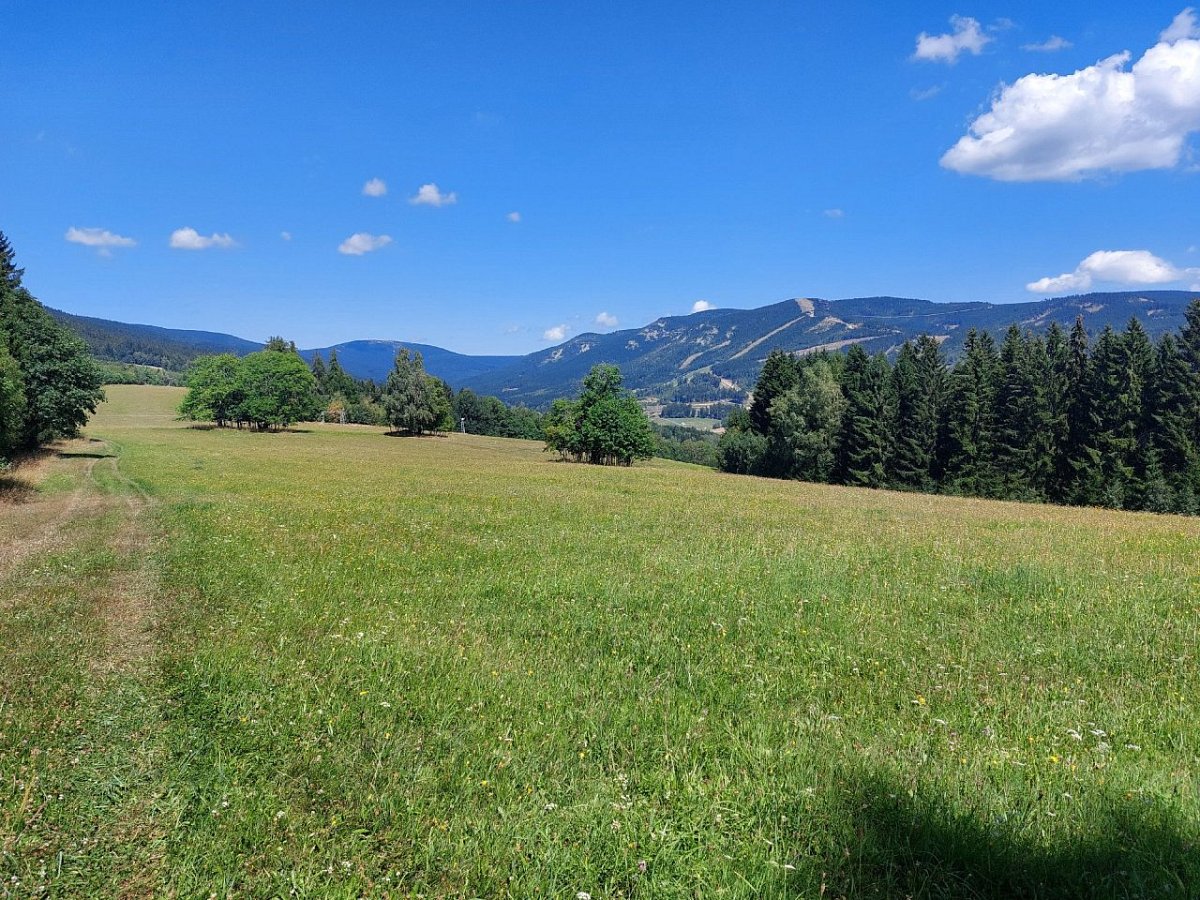 Větrný vrch (807&nbsp;m)