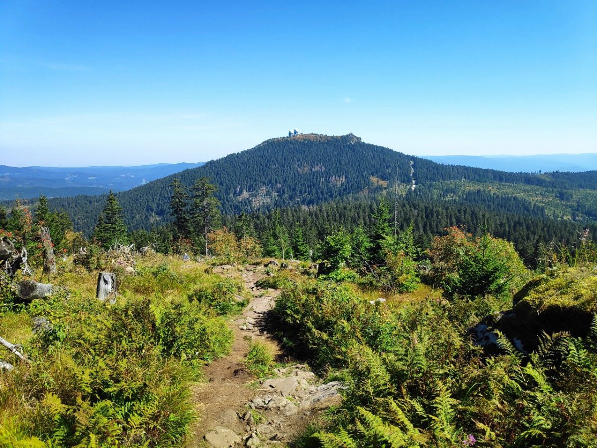 Kleiner Arber (1384&nbsp;m)