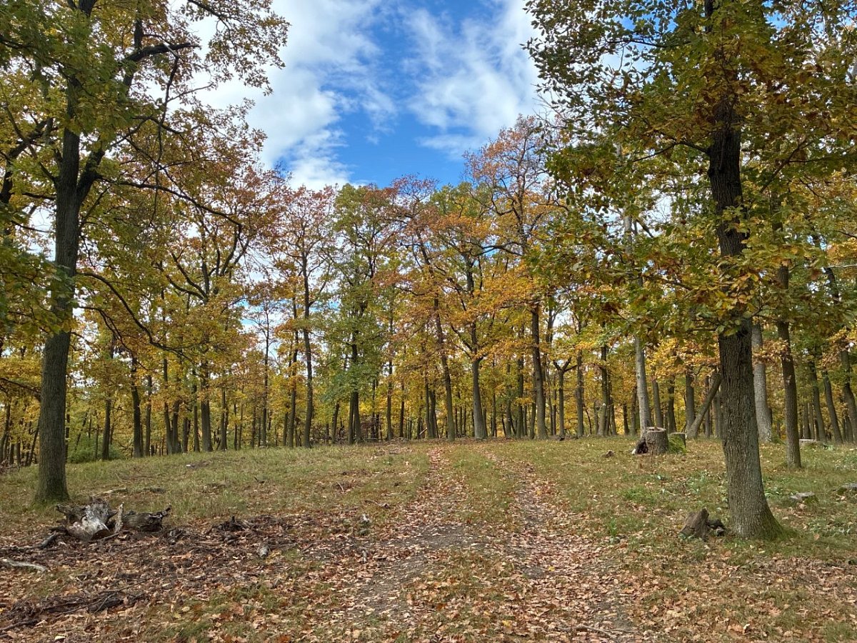 Pulgarská stráň (327&nbsp;m)
