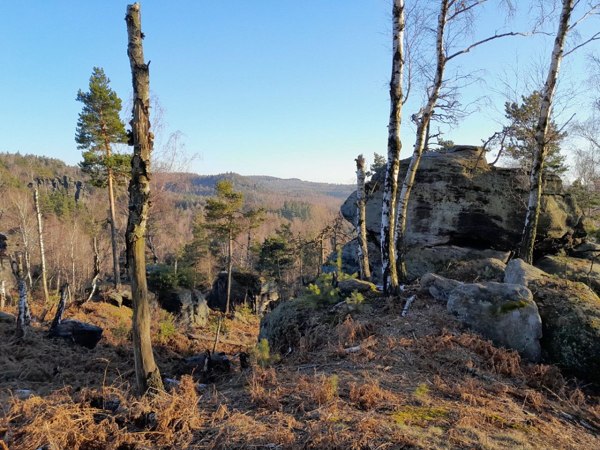 Ptačí stěny - severní (554&nbsp;m)