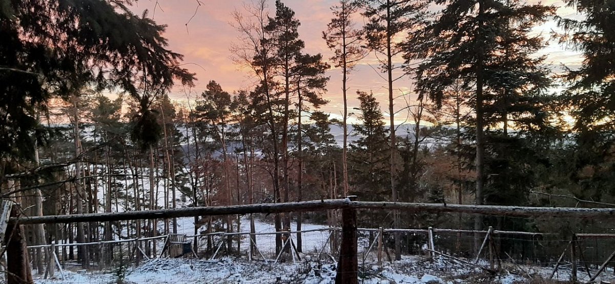 Kamýcká skála (538&nbsp;m)