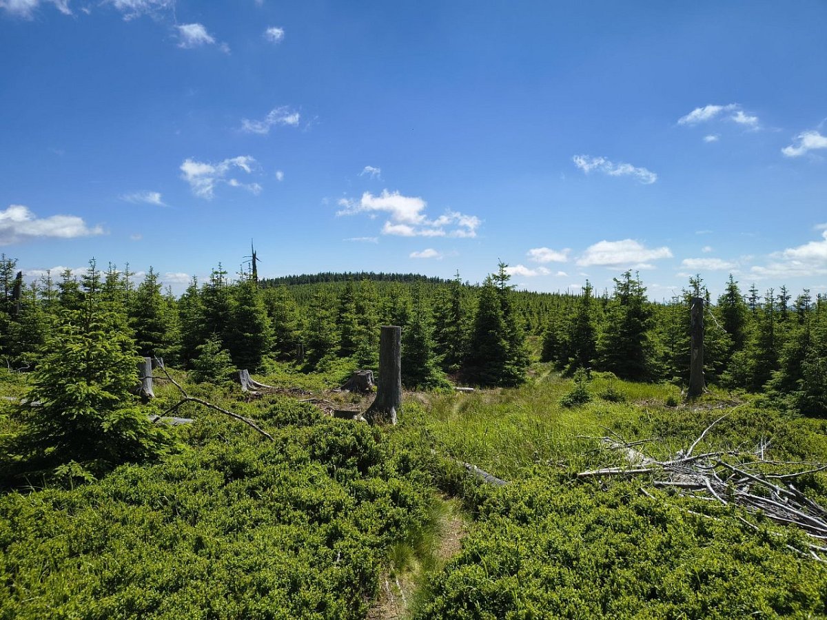 Souš (1224&nbsp;m)