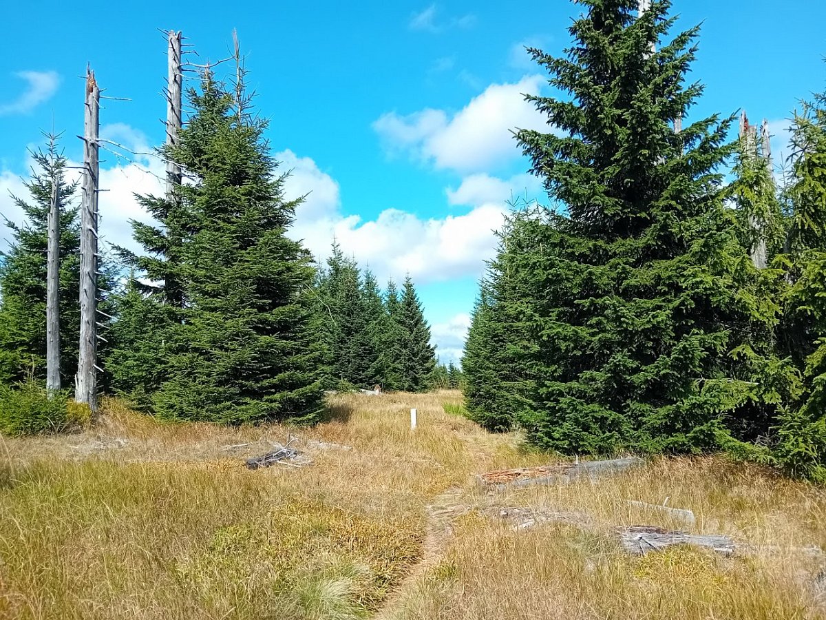 V Koutě (1277&nbsp;m)