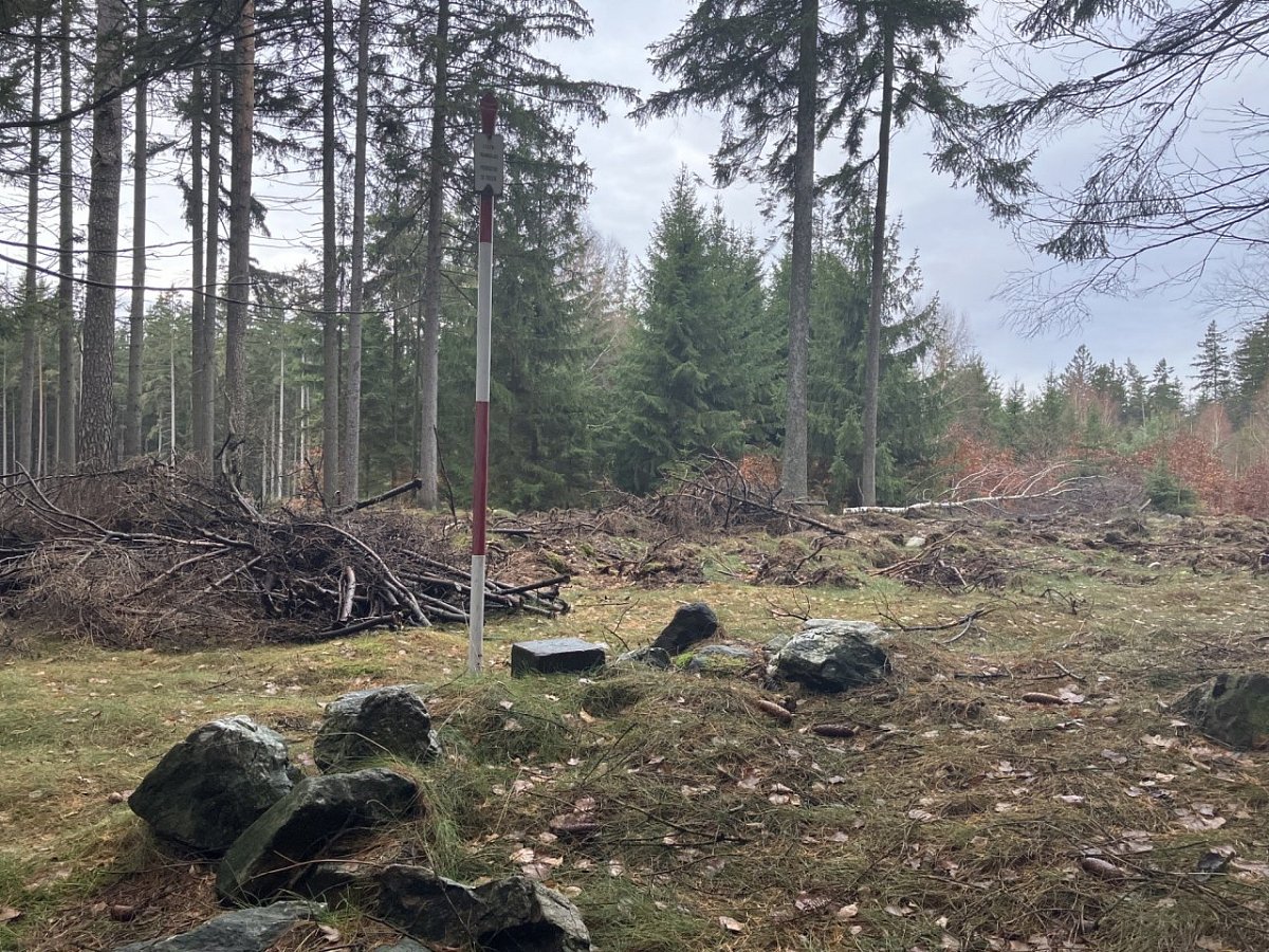 Holubník (562&nbsp;m)