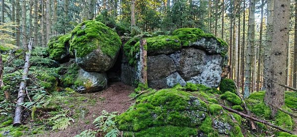 Obrázek
