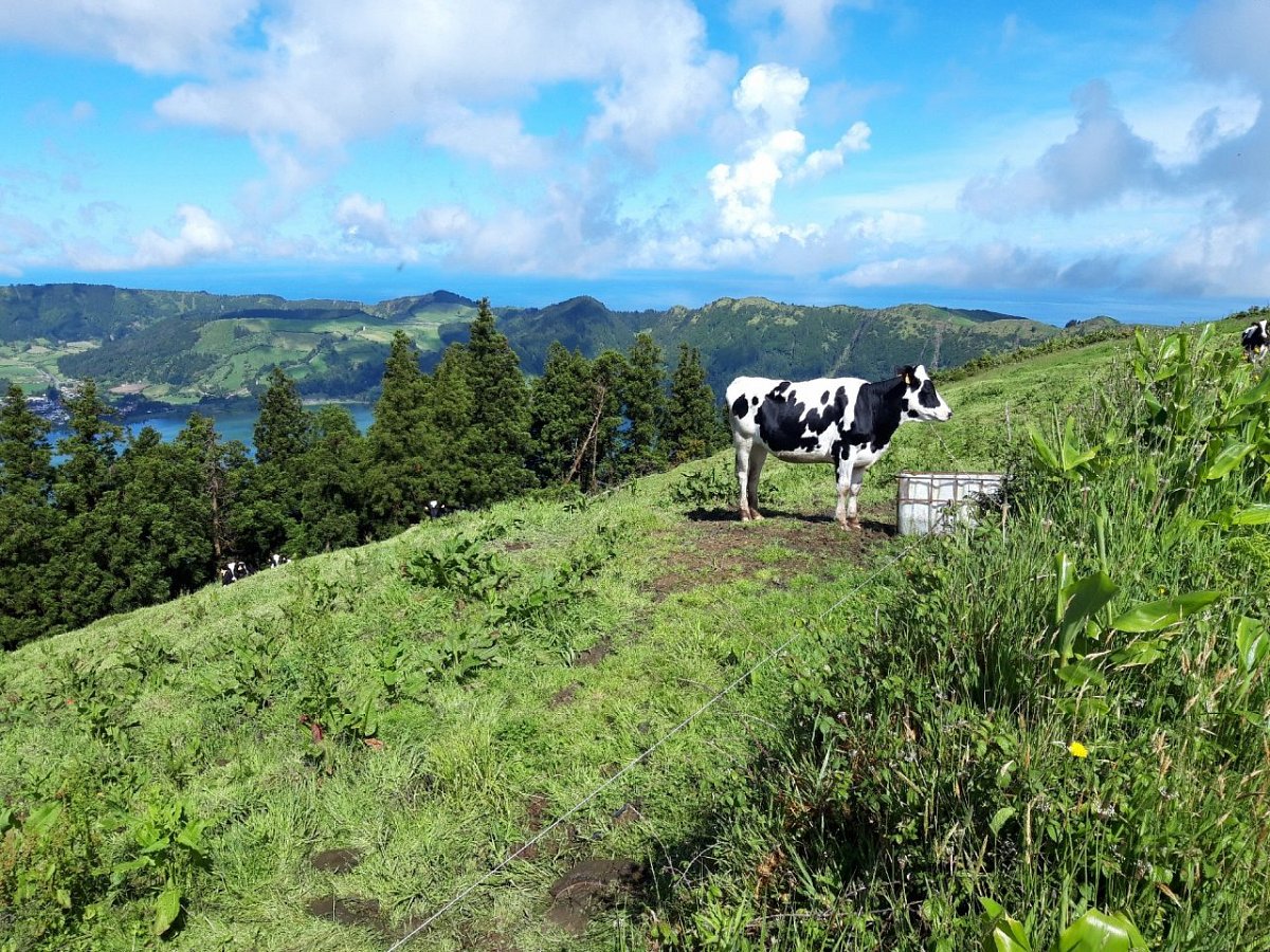 Remédios (643&nbsp;m)