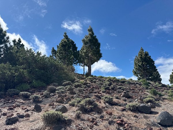 Montaña Pelada
