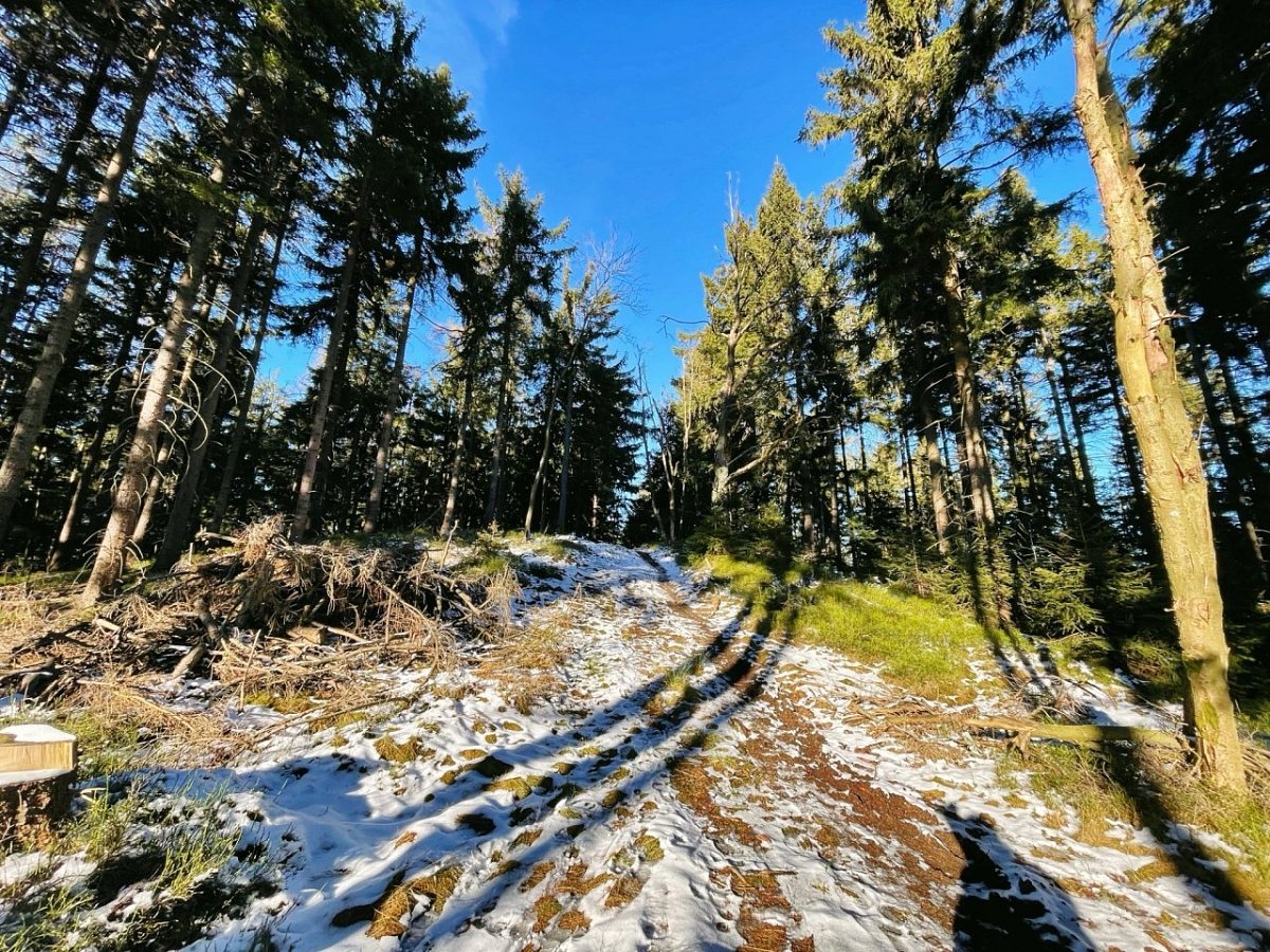 Železný karpál (733&nbsp;m)