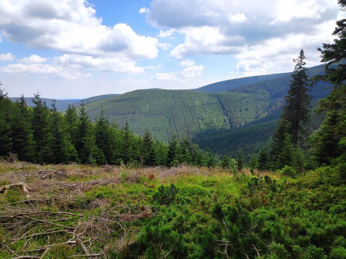 Kamzičí vrch (1173&nbsp;m)