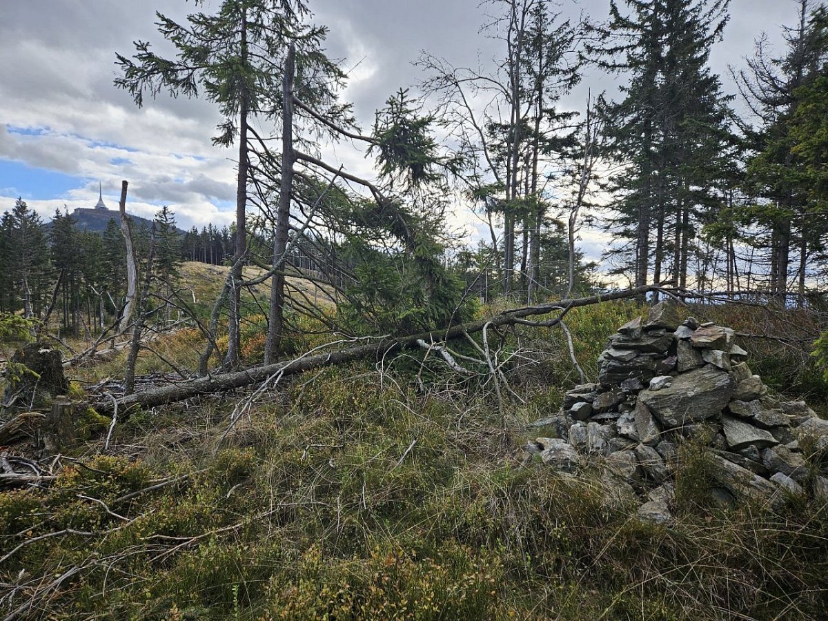 Černá hora (811&nbsp;m)