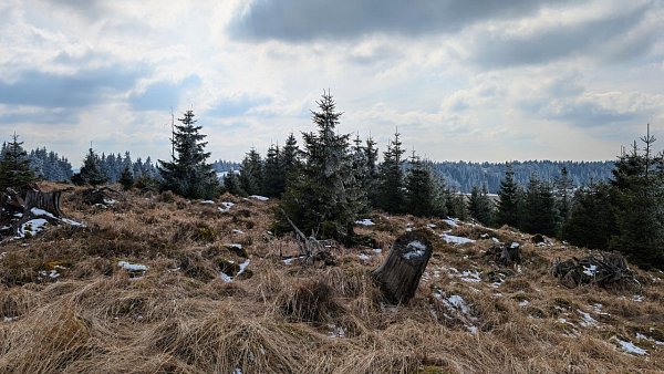 Nad Ryžovnou