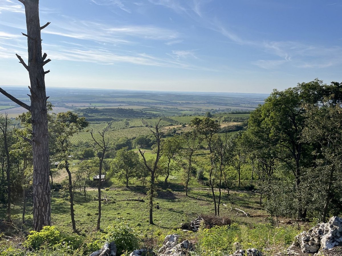 Turold (385&nbsp;m)