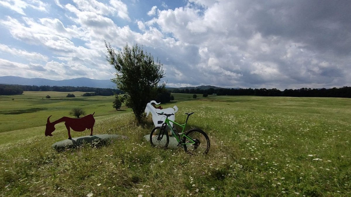 Šibeničník (331&nbsp;m)