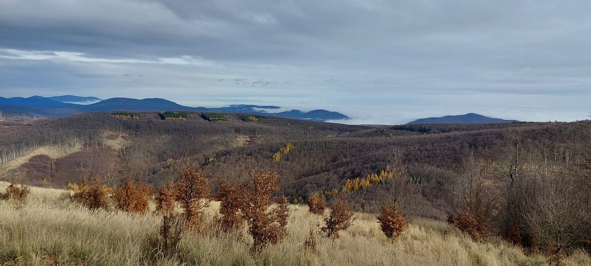 Skalnatá (704&nbsp;m)