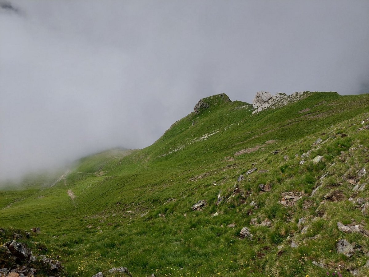 Plasteikopf (2345 m)