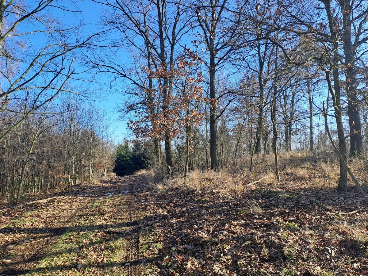 Starý vrch (377&nbsp;m)