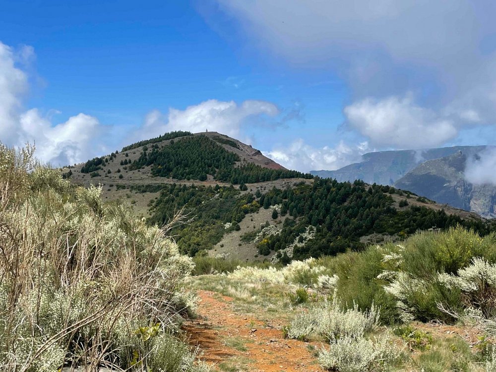 Pico do Cedro