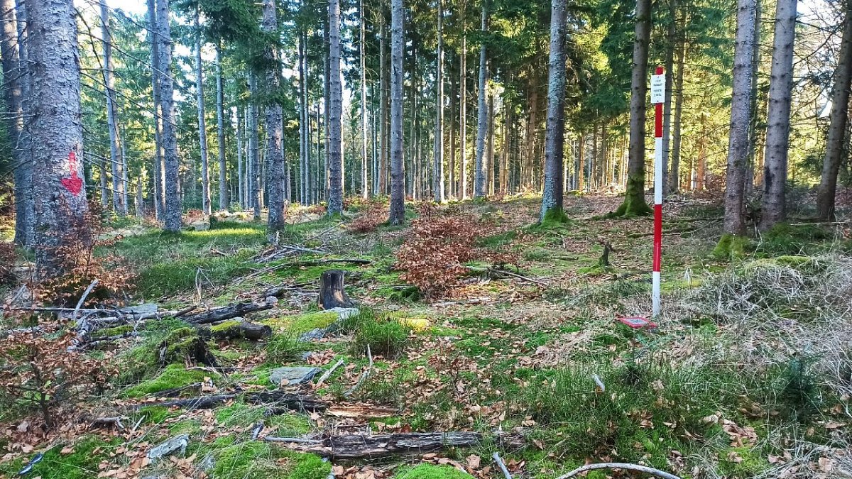 Velký Prenet (1071&nbsp;m)