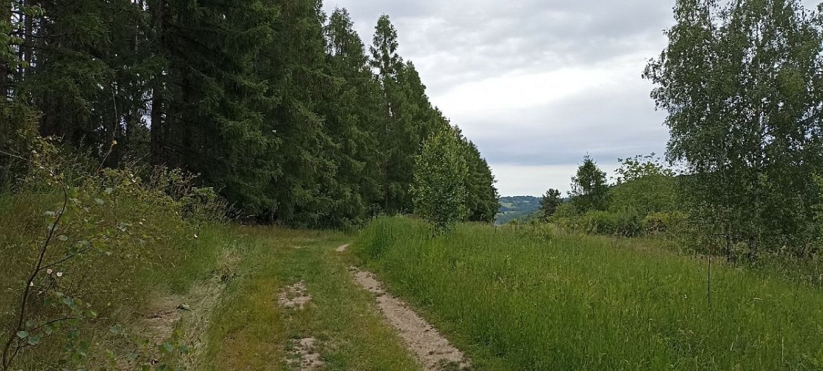 Jaseňovo (699&nbsp;m)