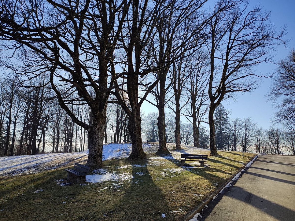 Fahrenberg (801&nbsp;m)