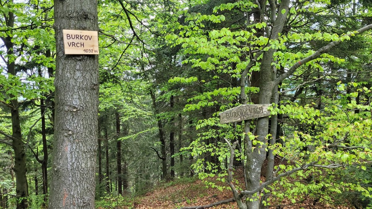 Burkův vrch / Burkov vrch (1032&nbsp;m)
