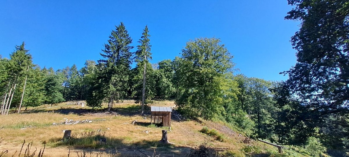 Idylka (498&nbsp;m)