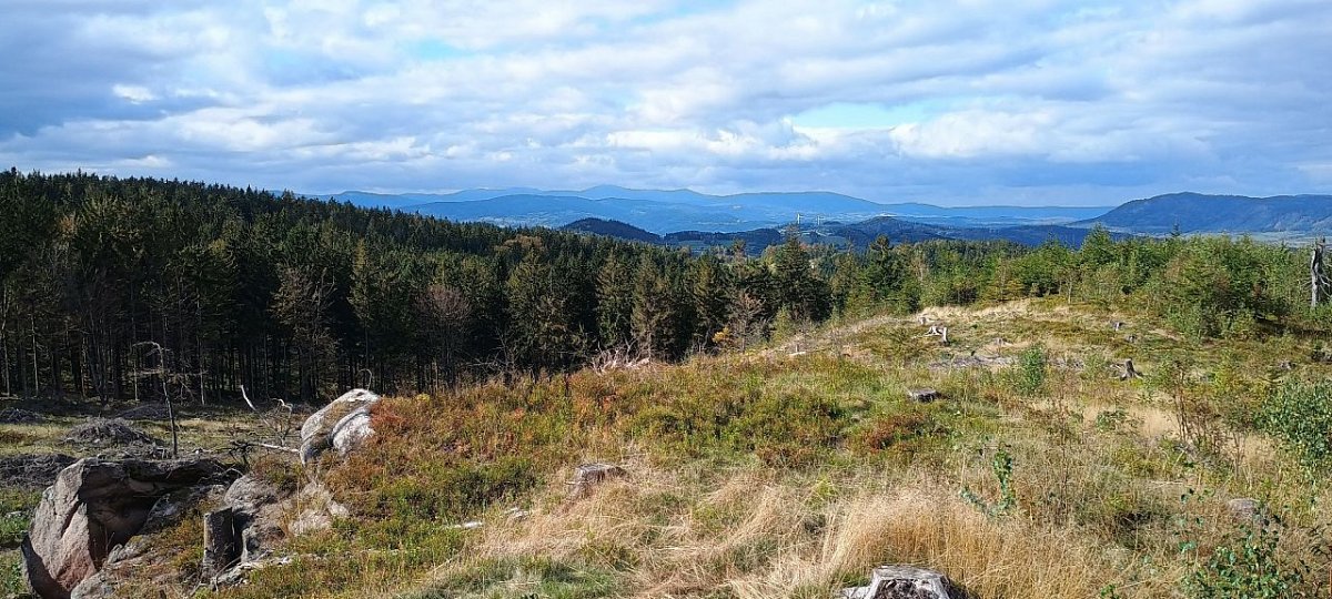 Markoušovický kopec (702&nbsp;m)